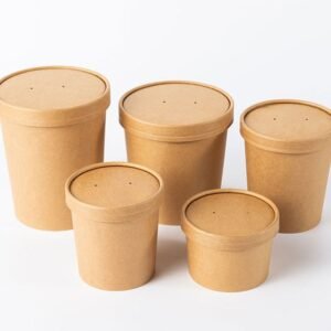 Chinese Manufacturers Biodegradable Take Away Paper Noodle Bowl Hot Soup Bowl with Paper Lid